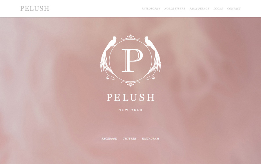 Pelush - website